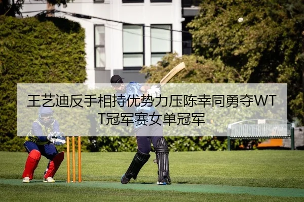 wang-yi-di-fan-shou-xiang-chi-you-shi-li-ya-chen-xing-tong-yong-duo-guan-jun-sai-nv-dan-guan-jun-2-994.jpg